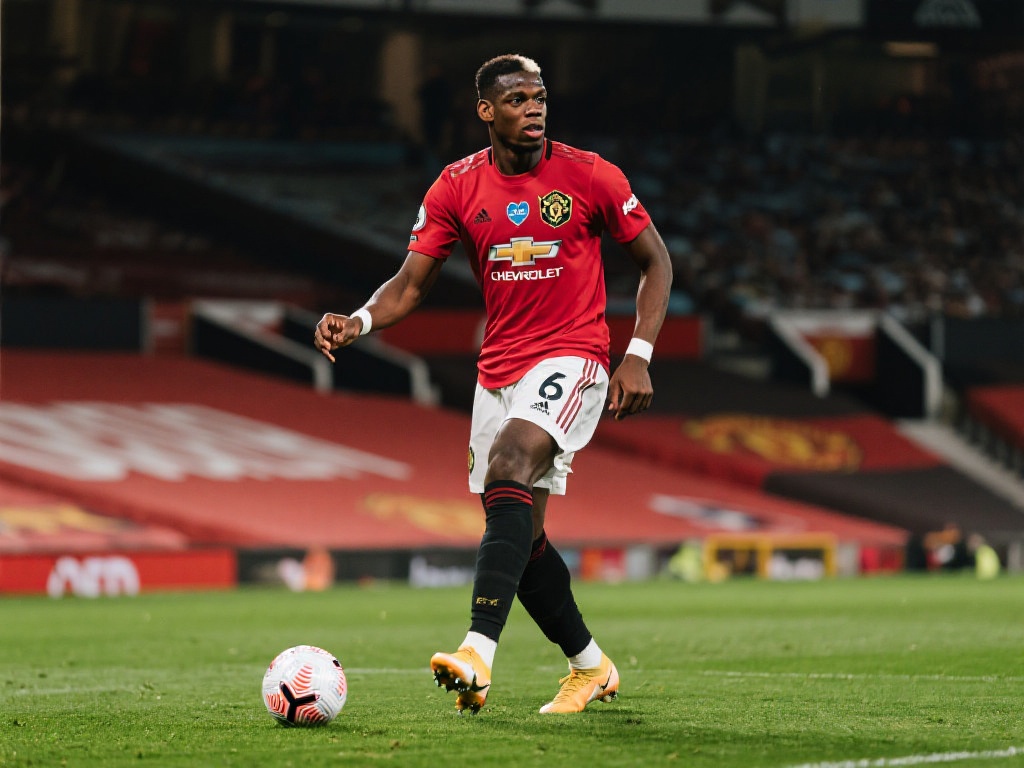 体育竞技与 体育竞技与