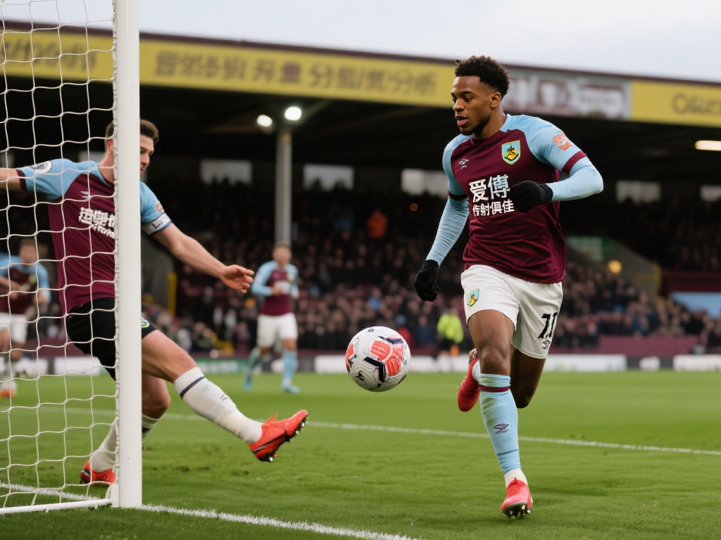 玩家的喜好 玩家的喜好